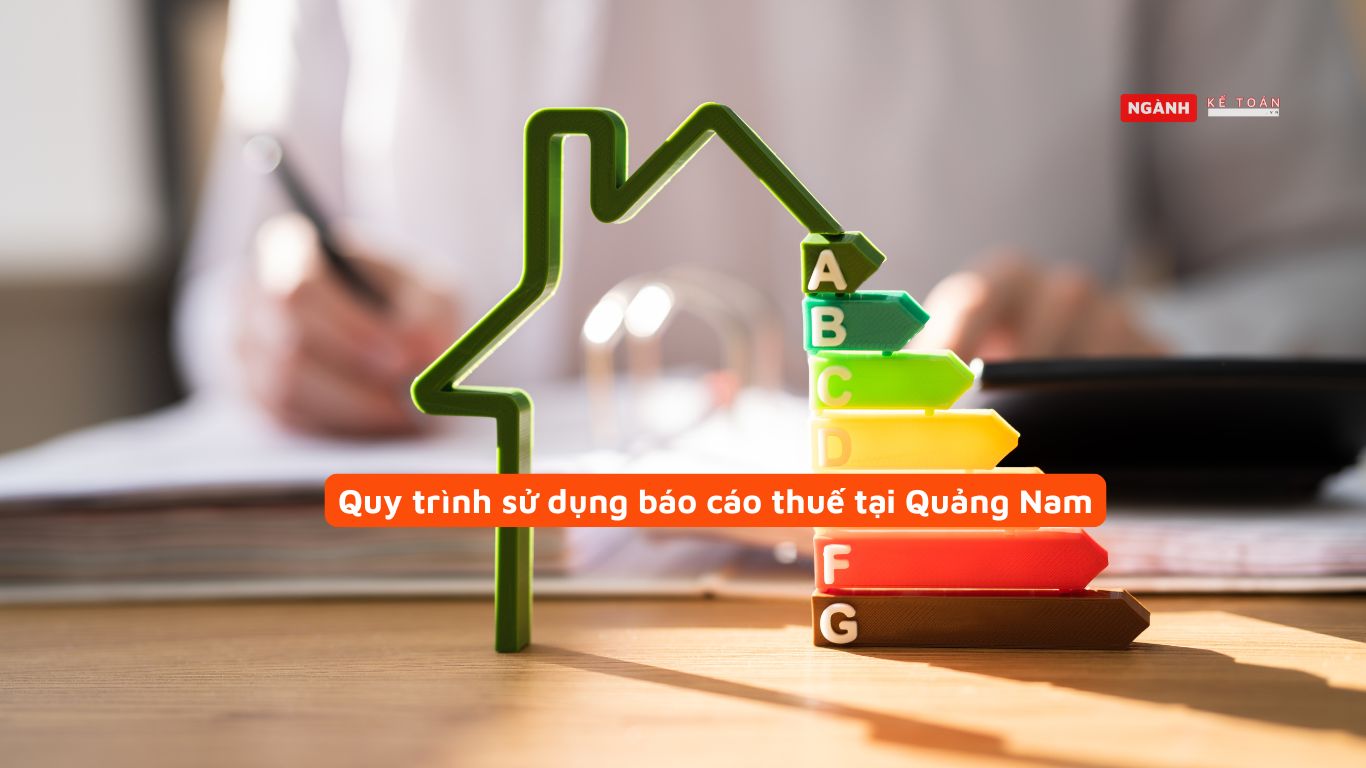 Quy trình sử dụng báo cáo thuế tại Quảng Nam Quy trình sử dụng báo cáo thuế tại Quảng Nam