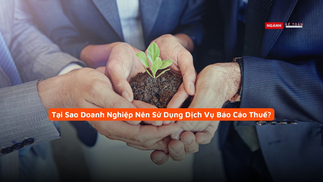Tại Sao Doanh Nghiệp Nên Sử Dụng Dịch Vụ Báo Cáo Thuế?