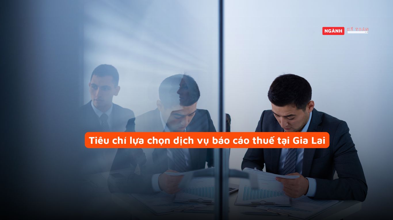 Tiêu chí lựa chọn dịch vụ báo cáo thuế tại Gia Lai